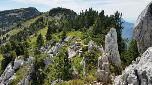 Mont Granier randonnée en Chartreuse