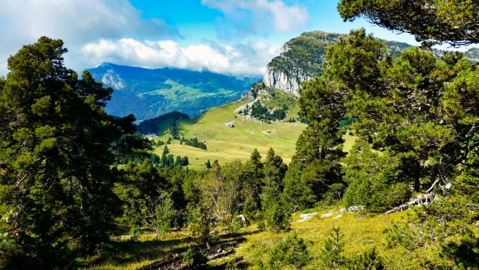 Randonnée massif de la Chartreuse le col et le pas de l'Alpette 