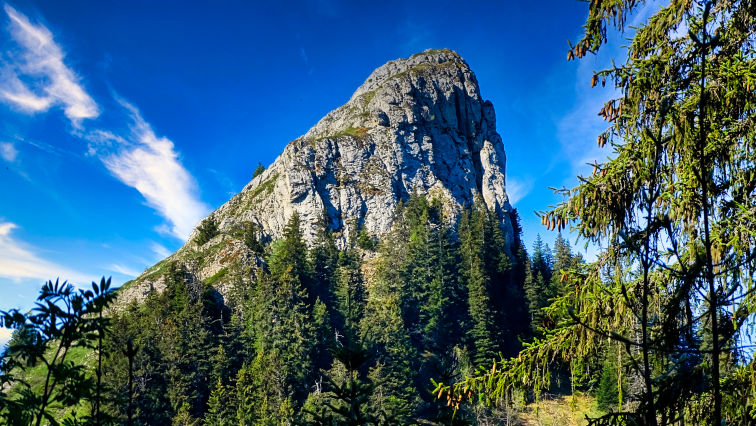Randonnée massif de la Chartreuse La Pinéa par BAW