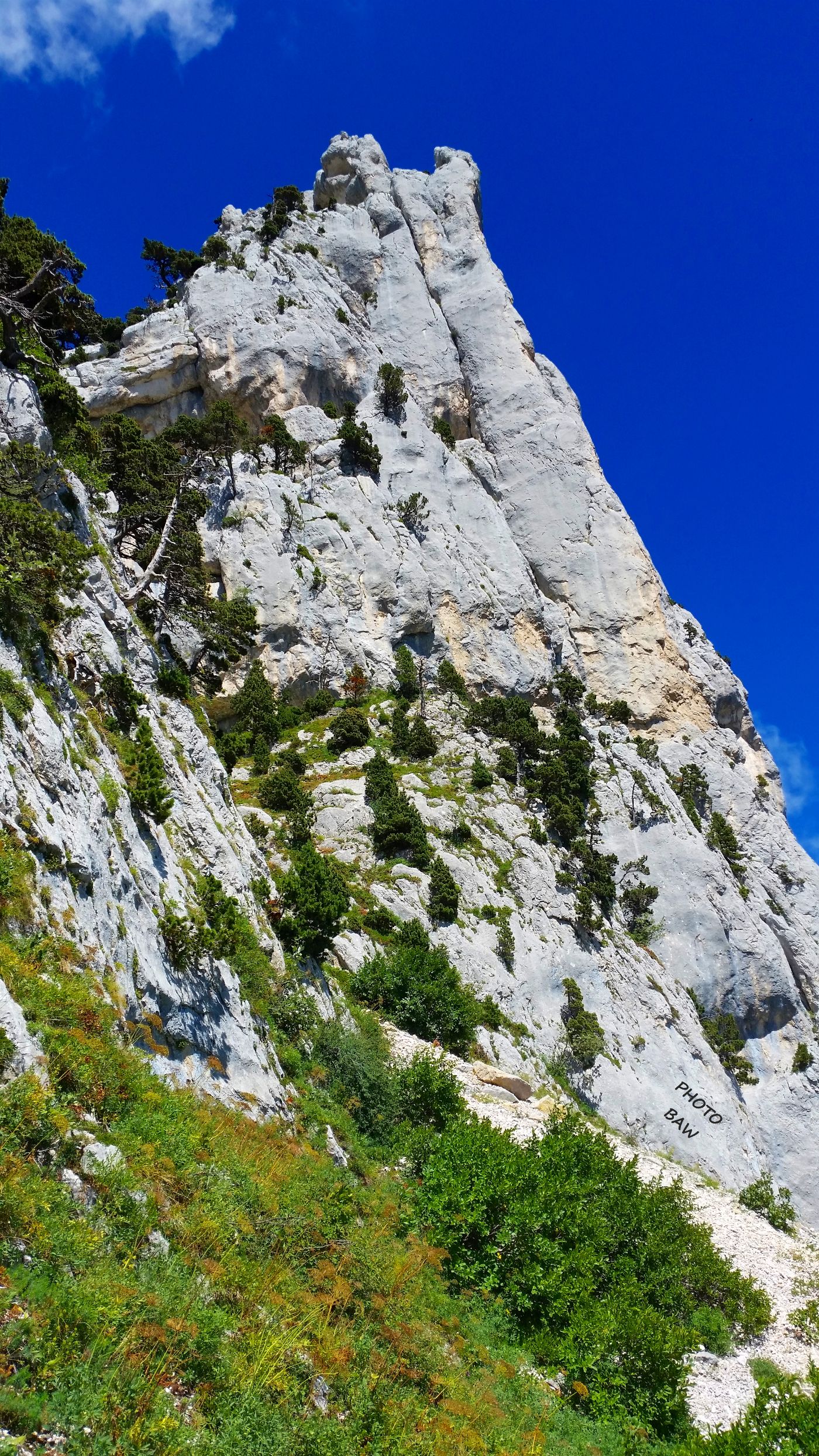 l'aiguillette en chartreuse par BAW