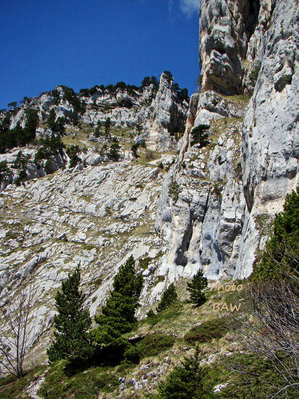 randonnée en chartreuse  le  pas de la rousse