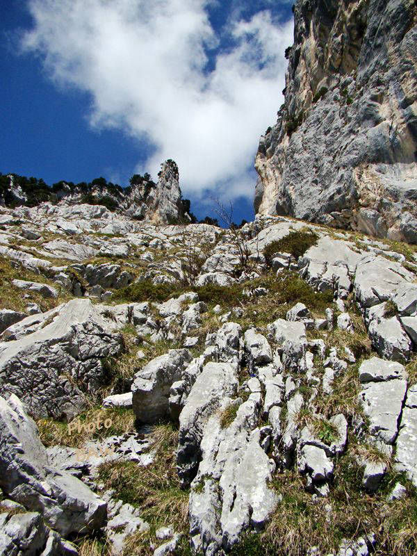 randonnée en chartreuse  le  pas de la rousse