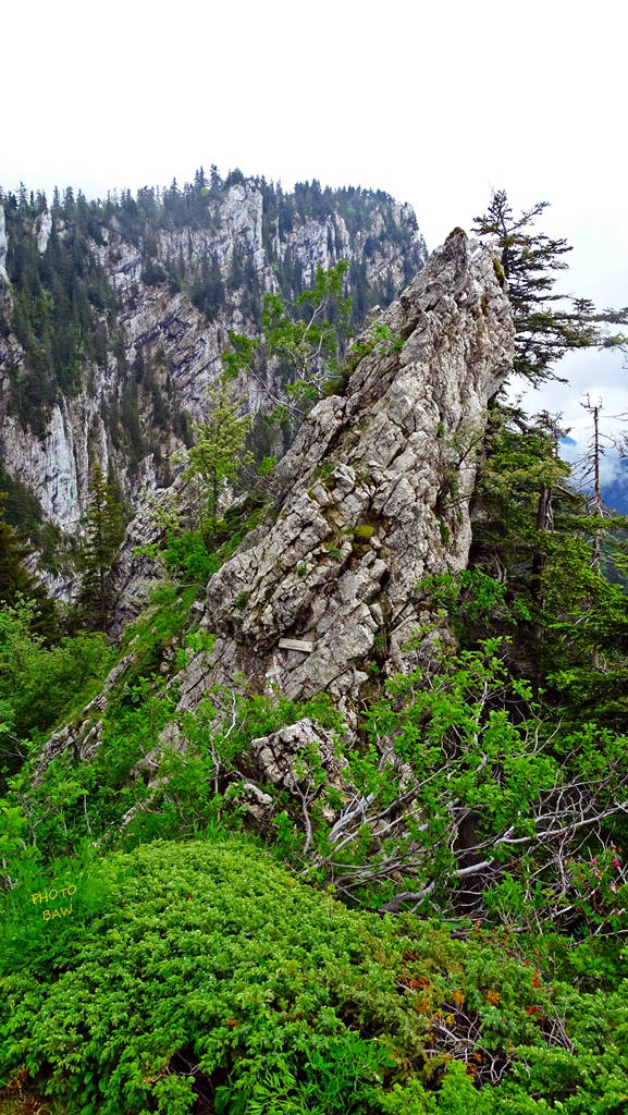 le pas du Loup chartreuse