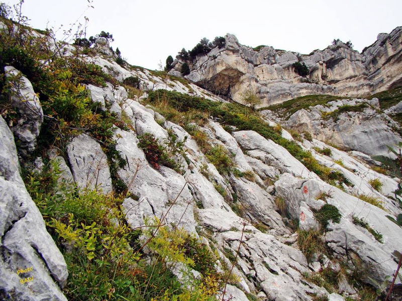 randonnée en chartreuse  le  pas de Rocheplane