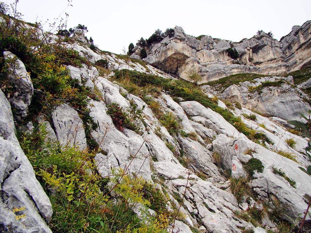 randonnée en chartreuse  le  pas de Rocheplane