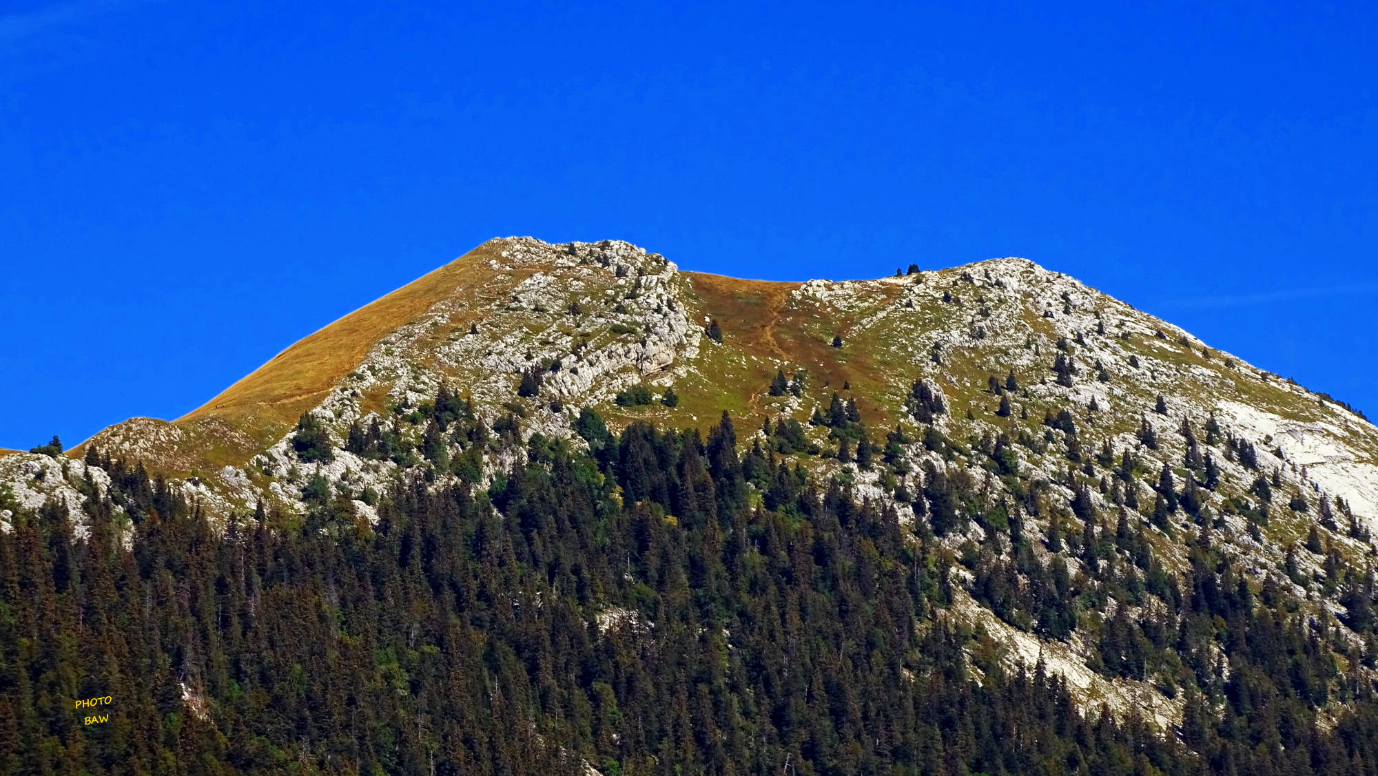 Le charmant Som randonnée en chartreuse