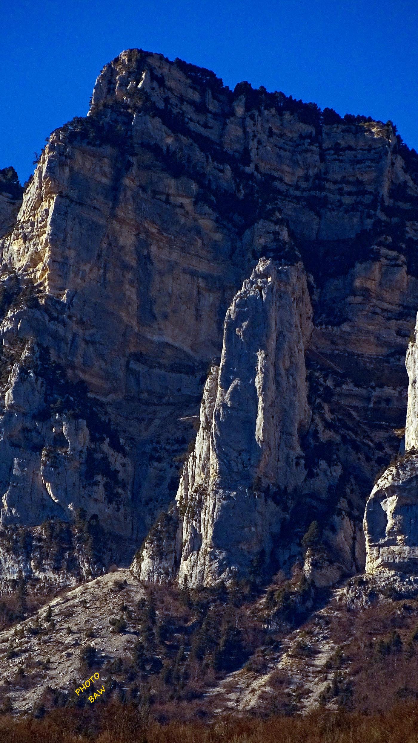 l'aiguillette en chartreuse col de marcieu