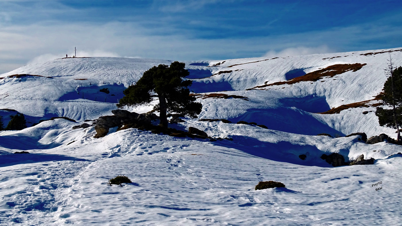 Col et croix de l'alpe randonnée en chartreuse